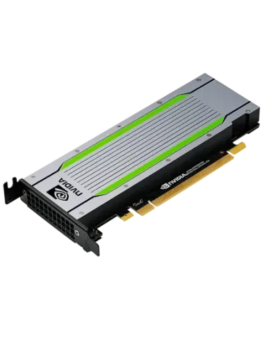 PNY TCST4M-PB tarjeta gráfica NVIDIA Tesla T4 16 GB GDDR6