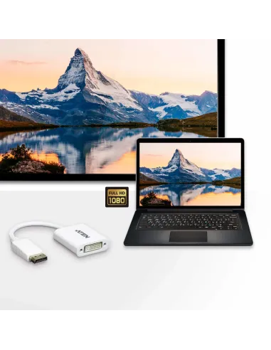 ATEN Adaptador de DisplayPort a DVI