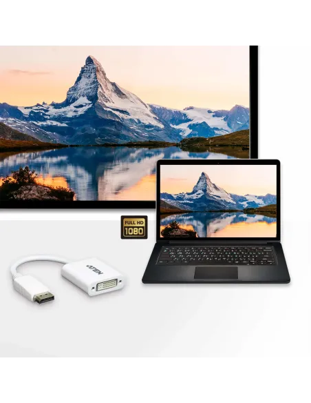 ATEN Adaptador de DisplayPort a DVI