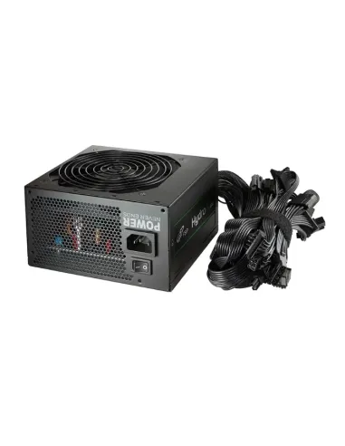 FSP HP2-600 unidad de fuente de alimentación 600 W 24-pin ATX ATX Negro