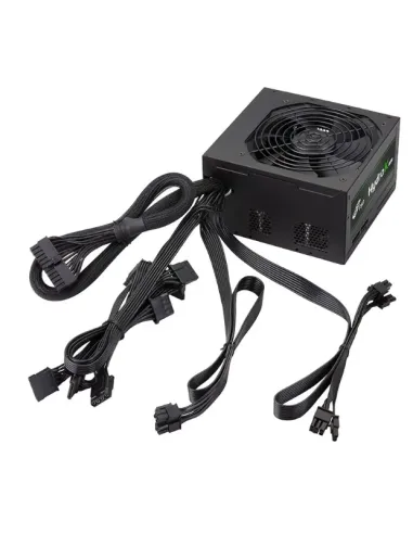 FSP HP2-600 unidad de fuente de alimentación 600 W 24-pin ATX ATX Negro