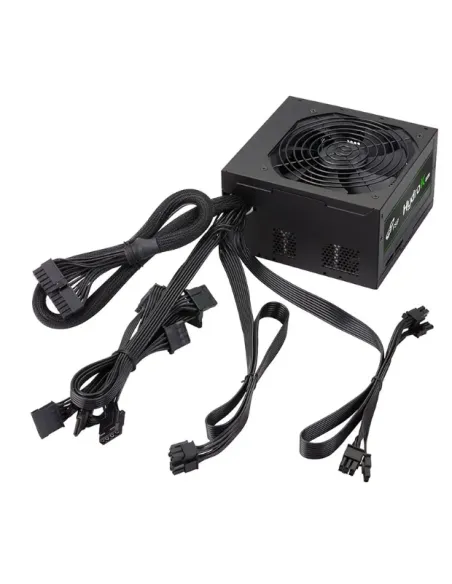 FSP HP2-600 unidad de fuente de alimentación 600 W 24-pin ATX ATX Negro