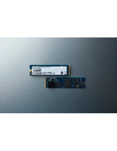 Kingston Technology 960G DC2000B PCIe 4.0 M.2 2280 Enterprise SSD