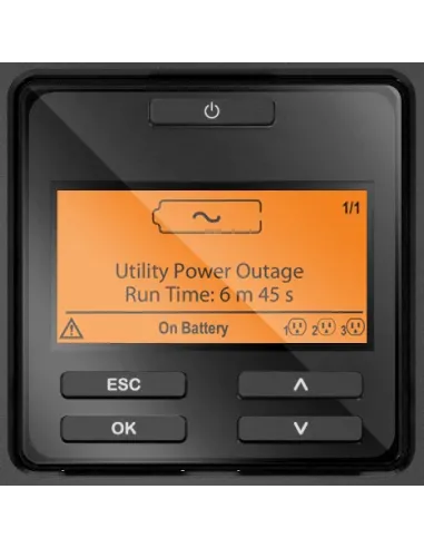 APC SRT1000RMXLI sistema de alimentación ininterrumpida (UPS) Doble conversión (en línea) 1 kVA 1000 W