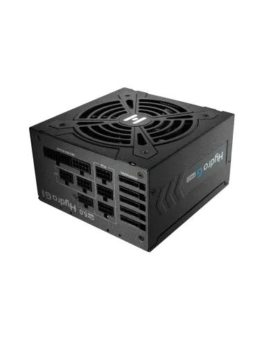 FSP Hydro G PRO ATX3.0(PCIe5.0) 1000W unidad de fuente de alimentación 20+4 pin ATX ATX Negro