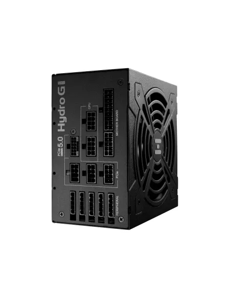FSP Hydro G PRO ATX3.0(PCIe5.0) 1000W unidad de fuente de alimentación 20+4 pin ATX ATX Negro