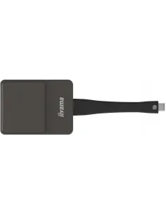 iiyama WP D002C adaptador Smart TV USB 4K Ultra HD Negro, Plata