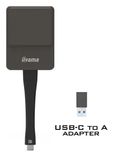 iiyama WP D002C adaptador Smart TV USB 4K Ultra HD Negro, Plata 2