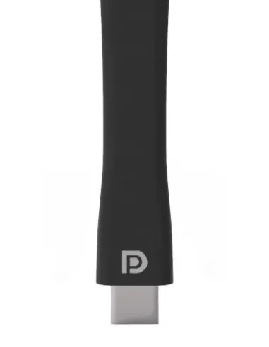 iiyama WP D002C adaptador Smart TV USB 4K Ultra HD Negro, Plata