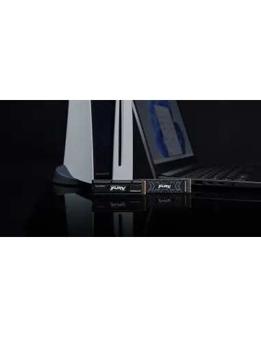 Kingston Technology 1000G RENEGADE PCIe 4.0 NVMe SSD W  Difusor térmico