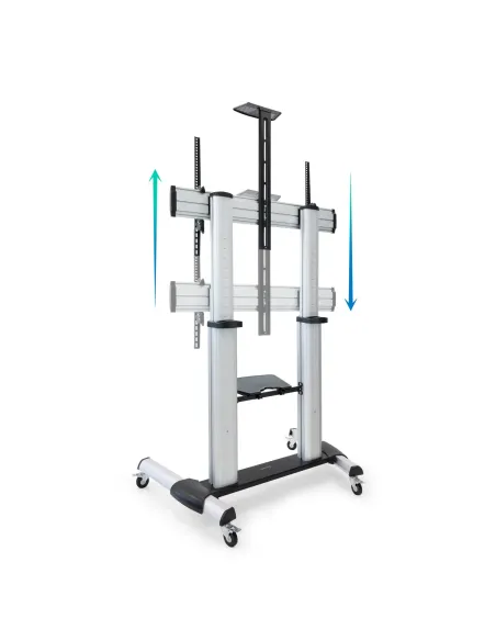 TooQ Partenón 2,54 m (100") Plata