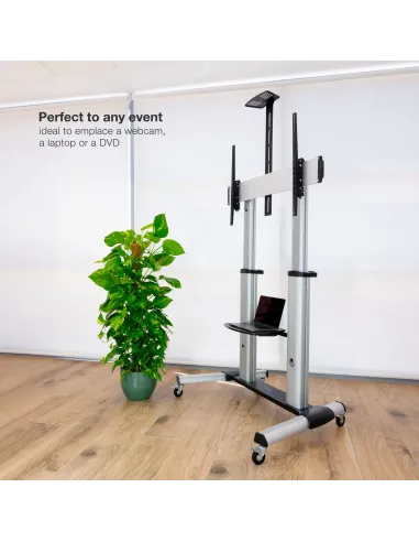 TooQ Partenón 2,54 m (100") Plata