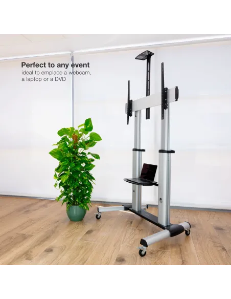 TooQ Partenón 2,54 m (100") Plata