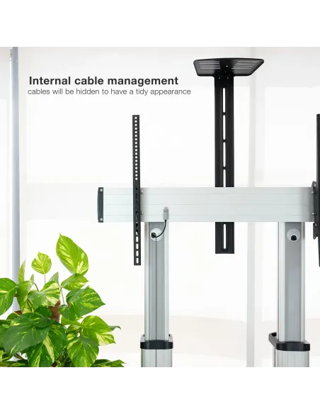 TooQ Partenón 2,54 m (100") Plata