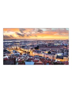 Samsung VH55B-E LCD Interior