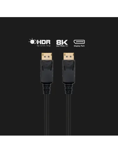 Ewent EC1405 cable DisplayPort 1 m Negro