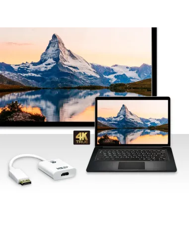 ATEN Adaptador activo de DisplayPort a HDMI True 4K