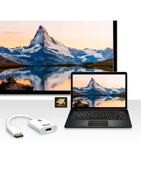 ATEN Adaptador activo de DisplayPort a HDMI True 4K