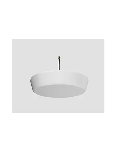 Zyxel IBCACCY-ZZ0102F antena para red SMA