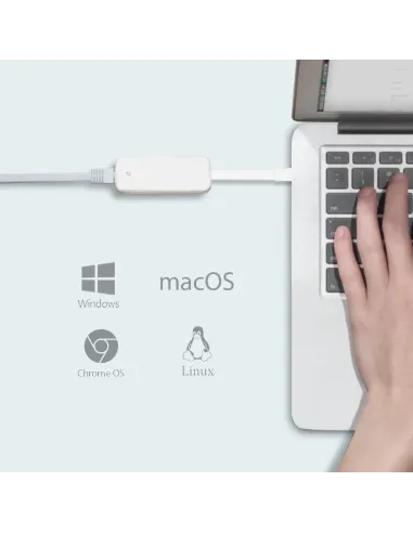 TP-Link UE300C adaptador y tarjeta de red Ethernet 1000 Mbit s