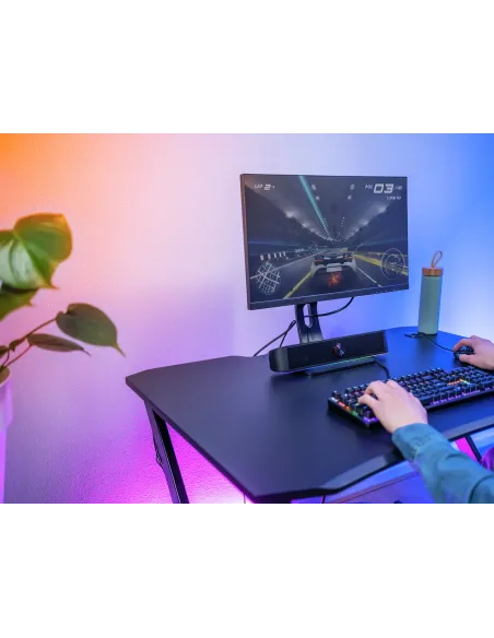 Trust GXT 619 Thorne Negro 2.0 canales 6 W