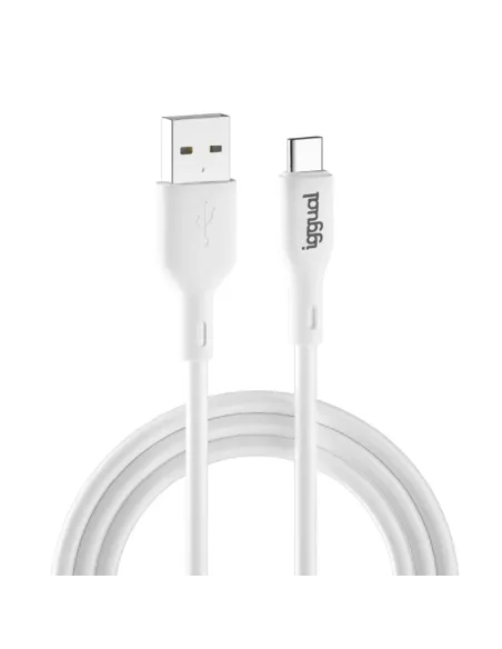 iggual IGG316948 cable USB USB 2.0 1 m USB A USB C Blanco