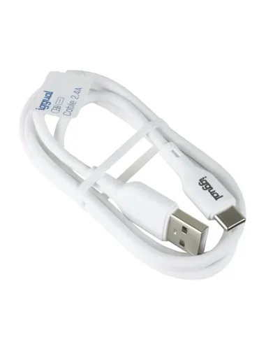 iggual IGG316948 cable USB USB 2.0 1 m USB A USB C Blanco