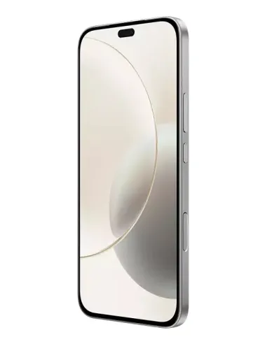 Honor 400 Lite 17 cm (6.7") SIM doble MagicOS 9.0 5G MicroUSB 8 GB 256 GB 5230 mAh Gris