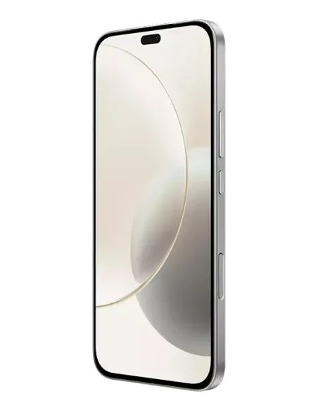 Honor 400 Lite 17 cm (6.7") SIM doble MagicOS 9.0 5G MicroUSB 8 GB 256 GB 5230 mAh Gris