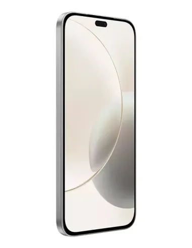 Honor 400 Lite 17 cm (6.7") SIM doble MagicOS 9.0 5G MicroUSB 8 GB 256 GB 5230 mAh Gris