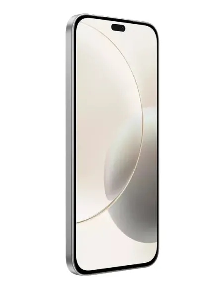 Honor 400 Lite 17 cm (6.7") SIM doble MagicOS 9.0 5G MicroUSB 8 GB 256 GB 5230 mAh Gris