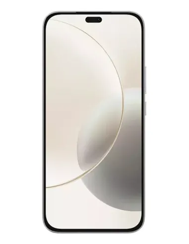 Honor 400 Lite 17 cm (6.7") SIM doble MagicOS 9.0 5G MicroUSB 8 GB 256 GB 5230 mAh Gris