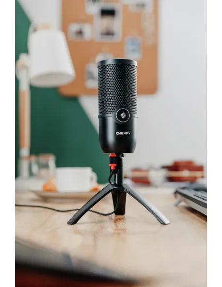 CHERRY UM 3.0 Negro Micrófono de superficie para mesa