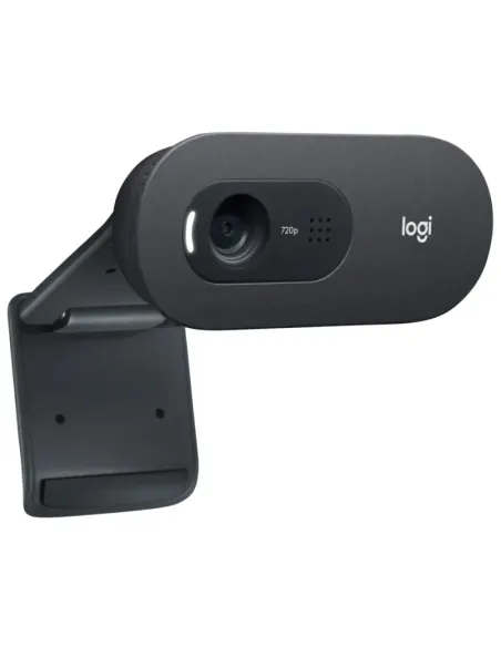 Logitech C505e