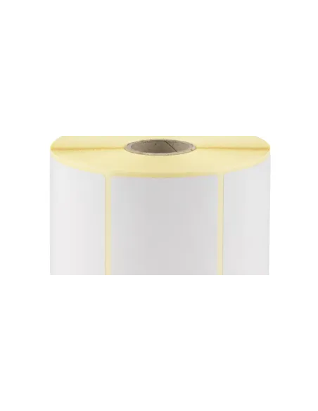 Etiquetas termicas 100x500mm caja 7.000u(700 etiq x rollo - 10 rolos x caja