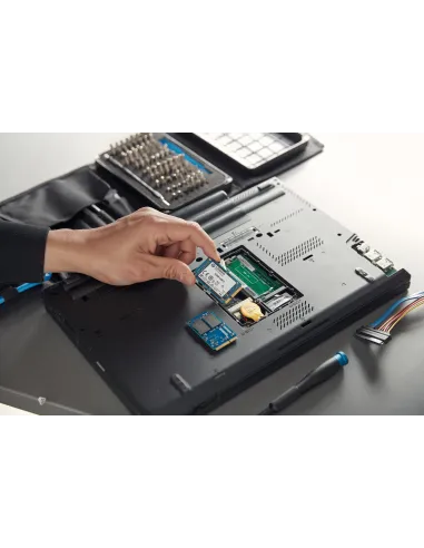 Kingston Technology Disco SSD KC600 SATA3 mSATA de 512 G