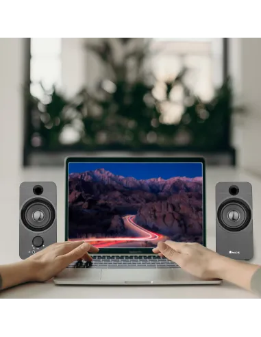 NGS SB350 Negro Inalámbrico 6 W