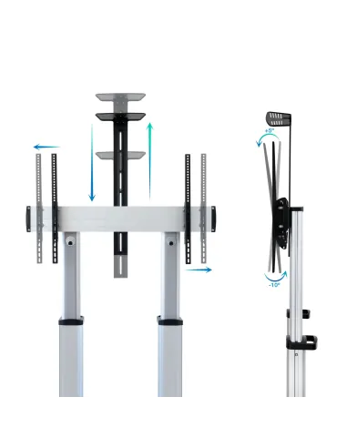 TooQ Partenón 2,54 m (100") Plata
