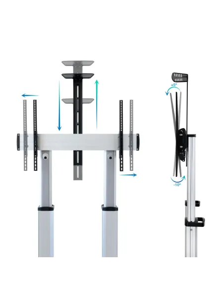 TooQ Partenón 2,54 m (100") Plata