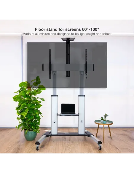 TooQ Partenón 2,54 m (100") Plata