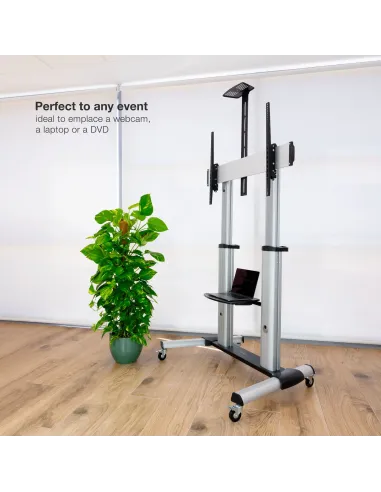 TooQ Partenón 2,54 m (100") Plata