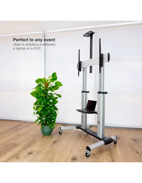 TooQ Partenón 2,54 m (100") Plata