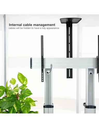 TooQ Partenón 2,54 m (100") Plata