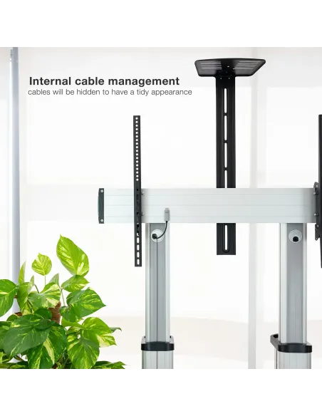 TooQ Partenón 2,54 m (100") Plata