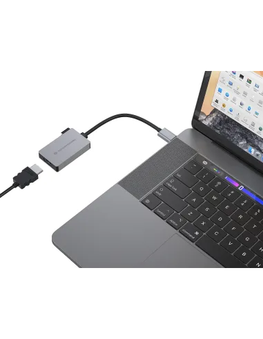 Conceptronic ABBY22G Adaptador gráfico USB 1920 x 1080 Pixeles Gris