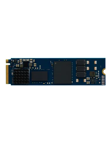 Kingston Technology 480G DC2000B PCIe 4.0 M.2 2280 Enterprise SSD