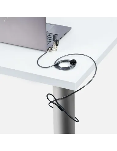 StarTech.com Cable de 2m Universal de Seguridad para Ordenador Portátil - Cable de Bloqueo Compatible con Noble