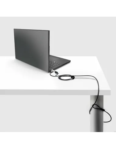 StarTech.com NBLWK-LAPTOP-LOCK cable antirrobo Negro, Plata 2 m