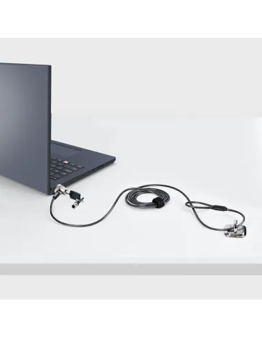StarTech.com NBLWK-LAPTOP-LOCK cable antirrobo Negro, Plata 2 m