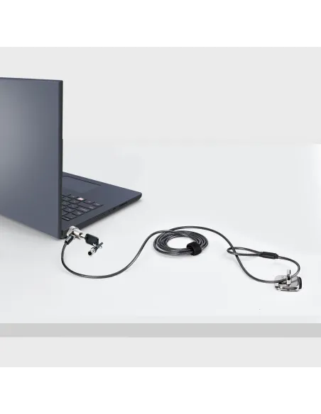 StarTech.com NBLWK-LAPTOP-LOCK cable antirrobo Negro, Plata 2 m